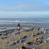 parc beausejour dieppe