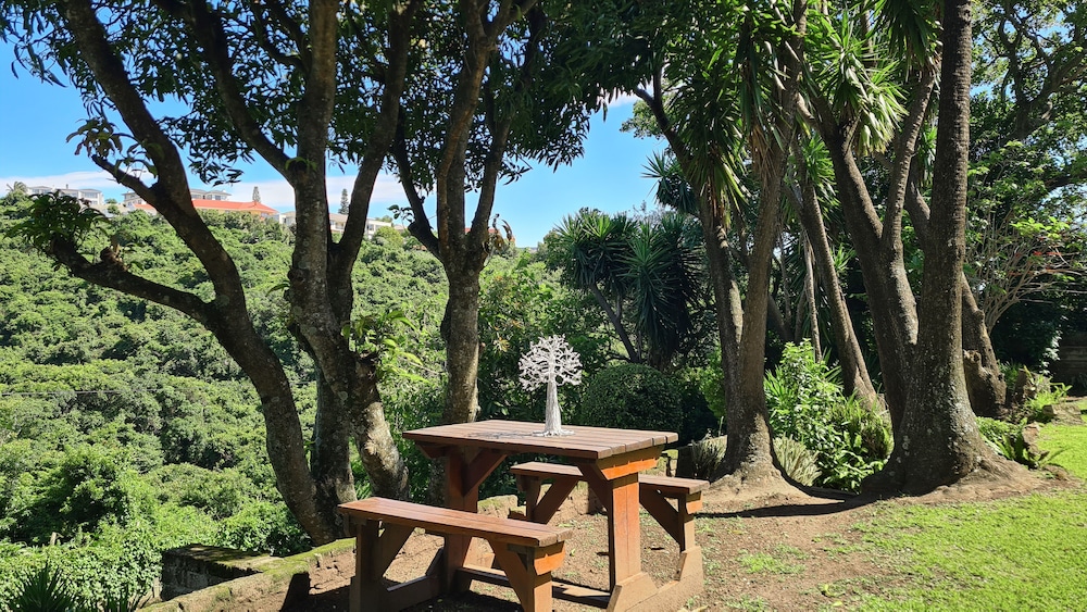 vincent valley lodge