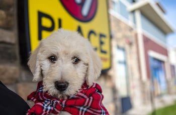 my place hotel tucson south az