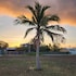cabo rojo