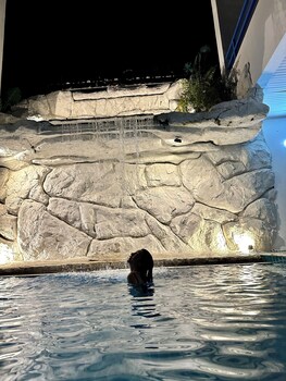 mona lisa pool villa