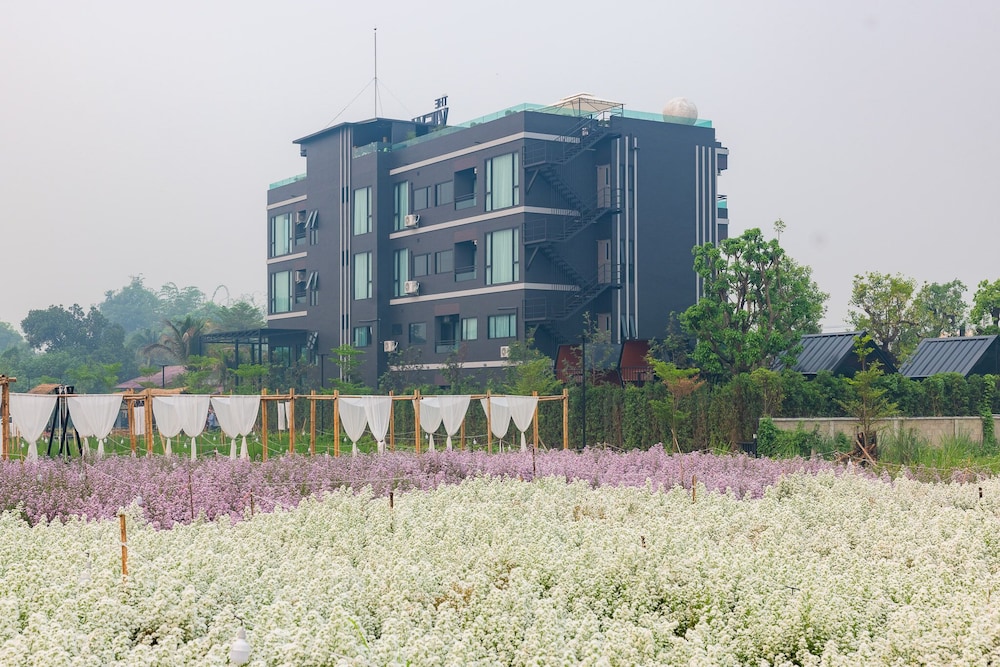 chiang dao