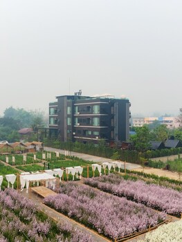 chiang dao