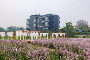 chiang dao