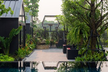chiang dao