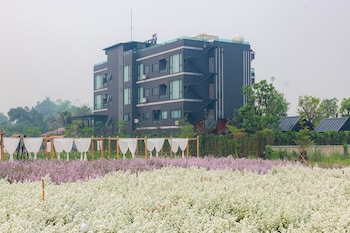 chiang dao
