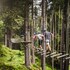 alpenparks chalet and apartment steve lodge viehhofen