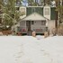 happy bear cabin