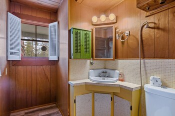 happy bear cabin