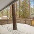 happy bear cabin