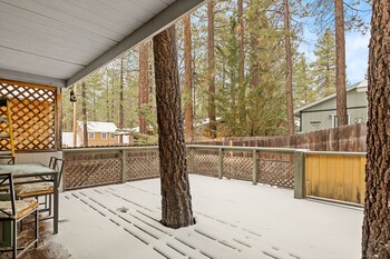 happy bear cabin