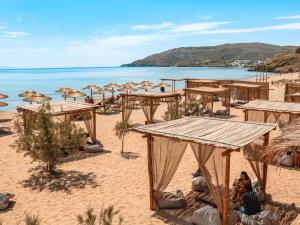 andros