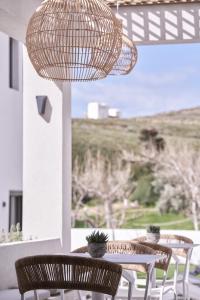 andros