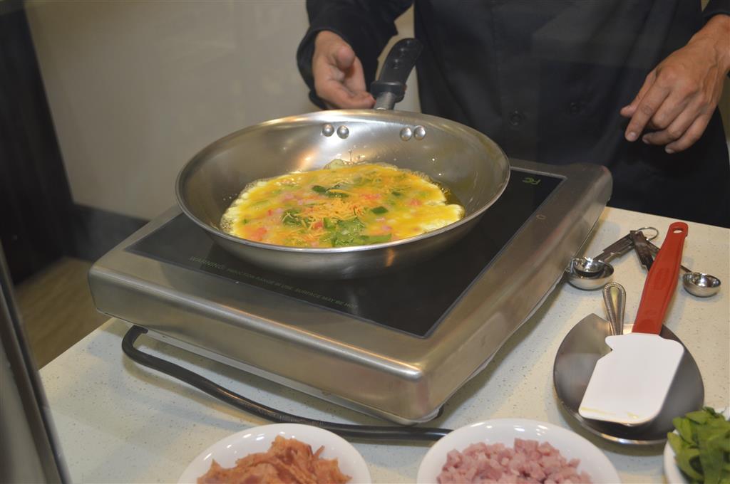 best western premier ashton suites willowbrook