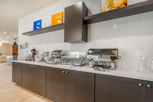 comfort inn and suites new port richey downtown district