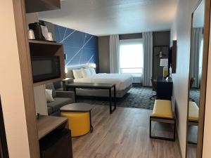 comfort inn and suites new port richey downtown district