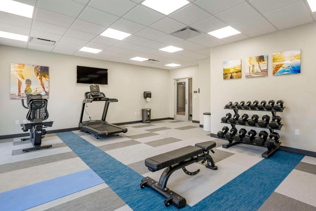 comfort inn and suites new port richey downtown district