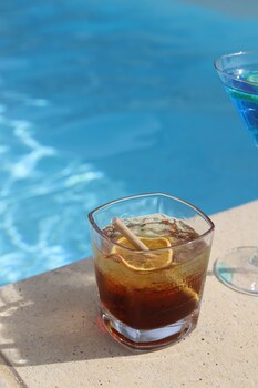 hotel restaurant les jasses de camargue