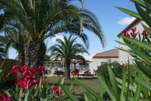 hotel restaurant les jasses de camargue