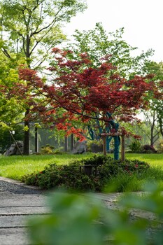 shaoxing
