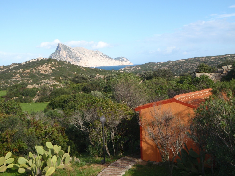 residence hotel lu nibareddu