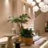 yluna boutiquestay