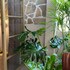 yluna boutiquestay