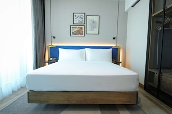 hilton garden inn ankara cankaya