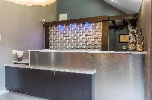 best western gastonia