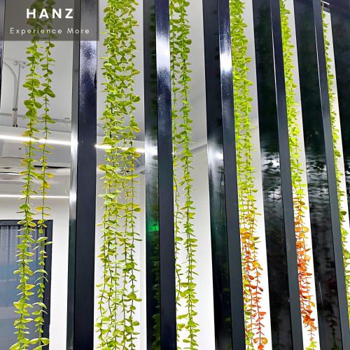 hanz monstera hotel grand world