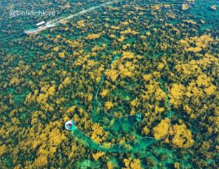 xavia hotel quy nhon