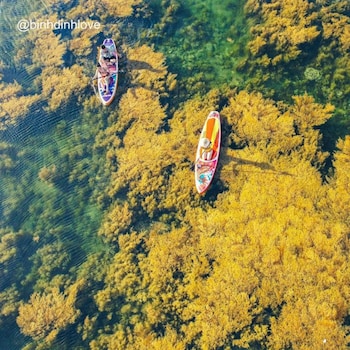 xavia hotel quy nhon