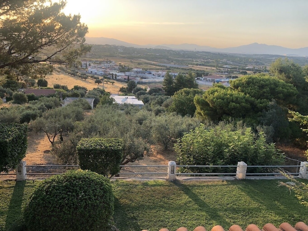 markopoulo mesogaias