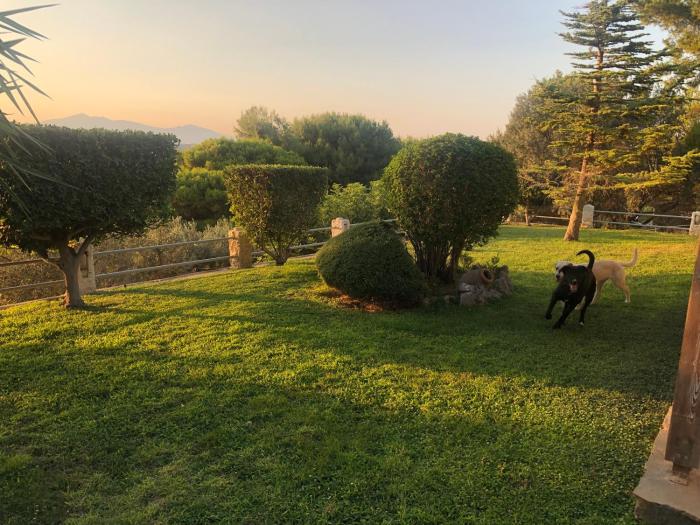 markopoulo mesogaias