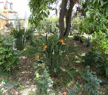 giarre