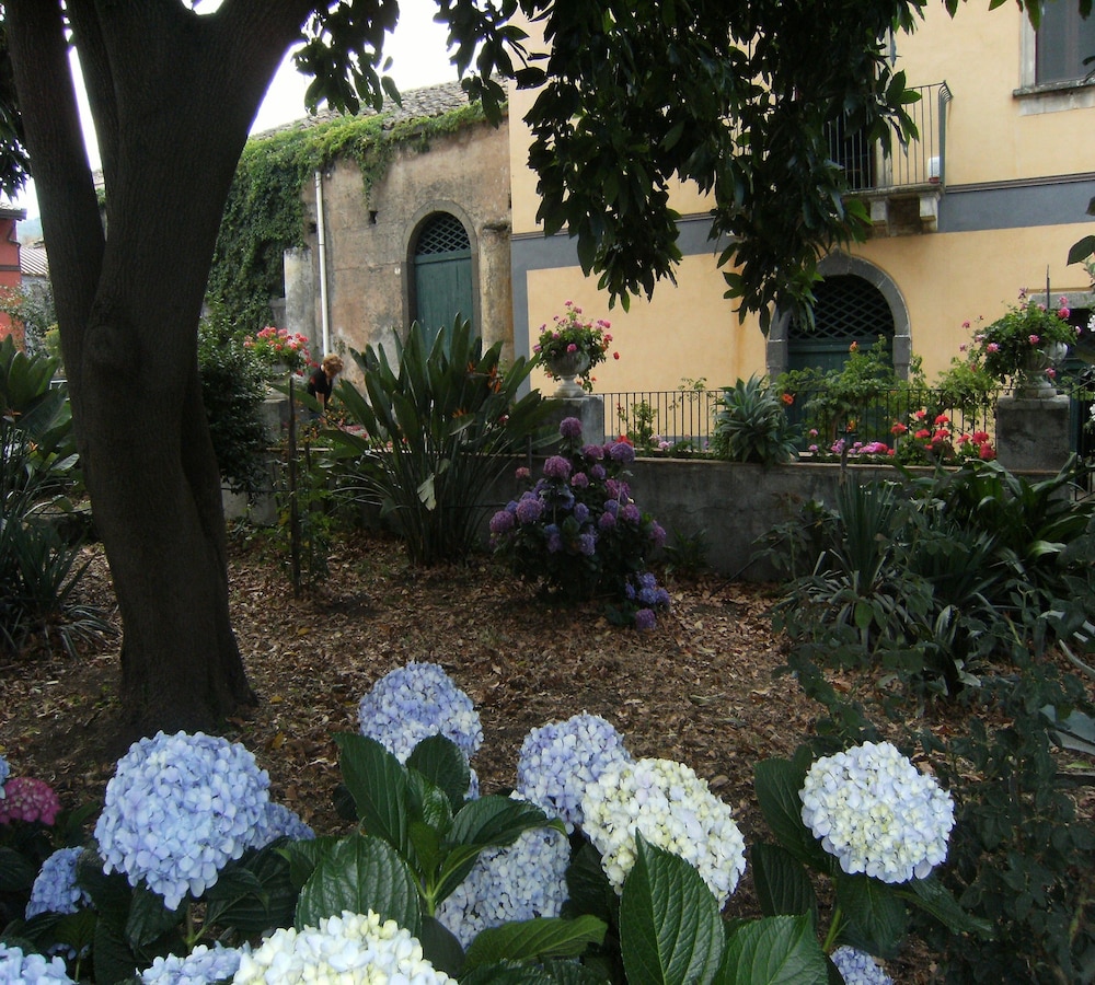 giarre