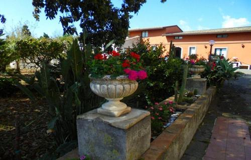 giarre