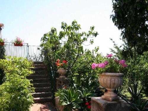 giarre