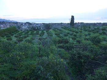 baglio delle rose
