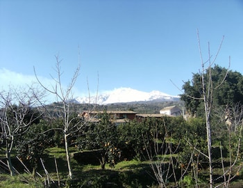 baglio delle rose