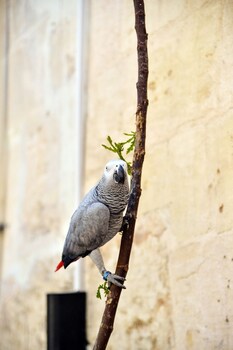 sanliurfa