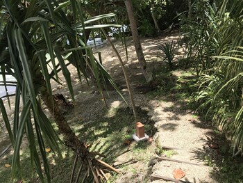 aore island