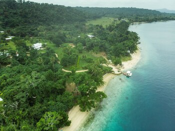 aore island