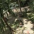aore island