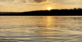 aore island