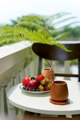 hawal boutique villa hoi an
