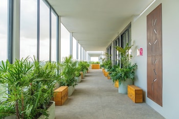 hotel mio riviera nayarit unique and different adults only