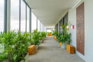 hotel mio riviera nayarit unique and different adults only