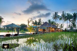 intan villa and suite ubud