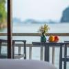 arcady boutique cruise